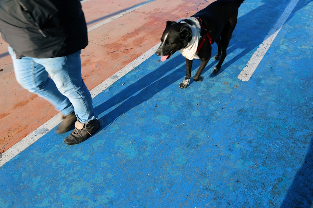 person in blue denim jeans and brown leather boots standing beside black and white short coat