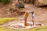 Smiling children playing near a newly installed water pump in a rural village.