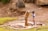 A young child operates a manual water pump, surrounded by a rural landscape. The area features bare, earthy ground with patches of grass, and a wooden structure in the background. The child is barefoot and wearing a light blue shirt and shorts.