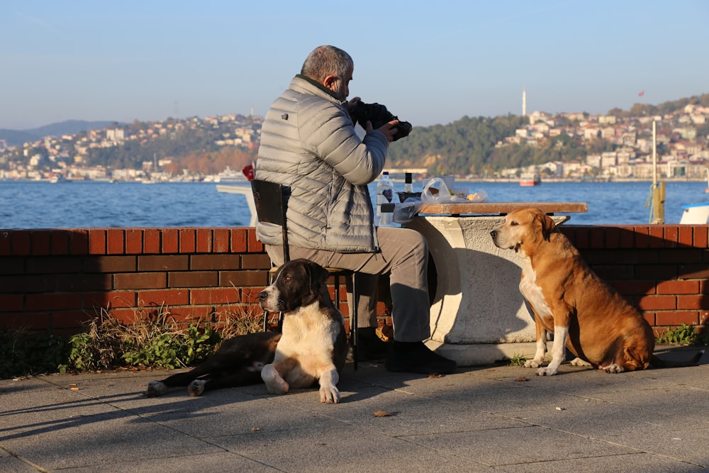 man in gray jacket and black pants sitting beside brown and white short coated dog on on near on on
