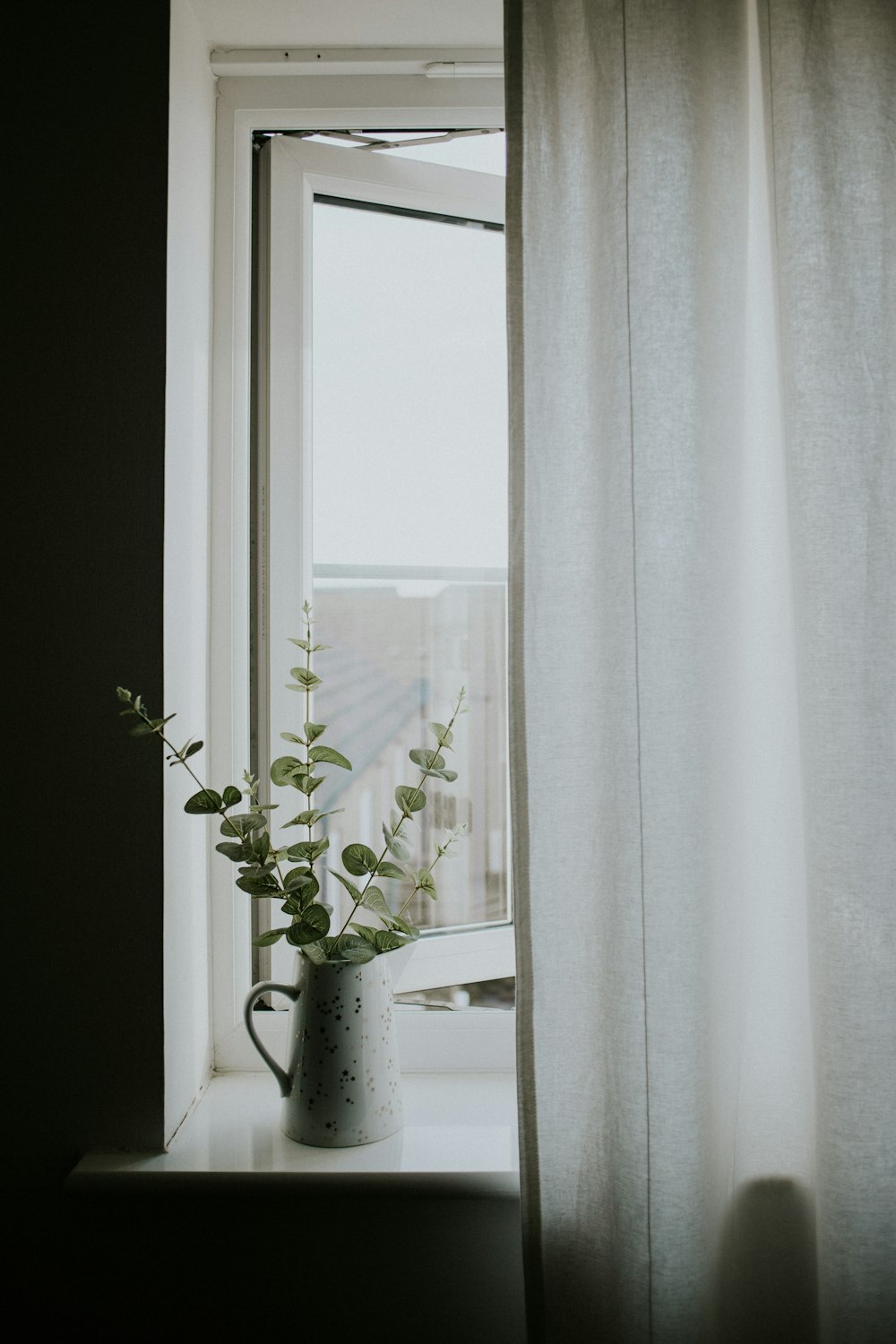white curtain near green plant