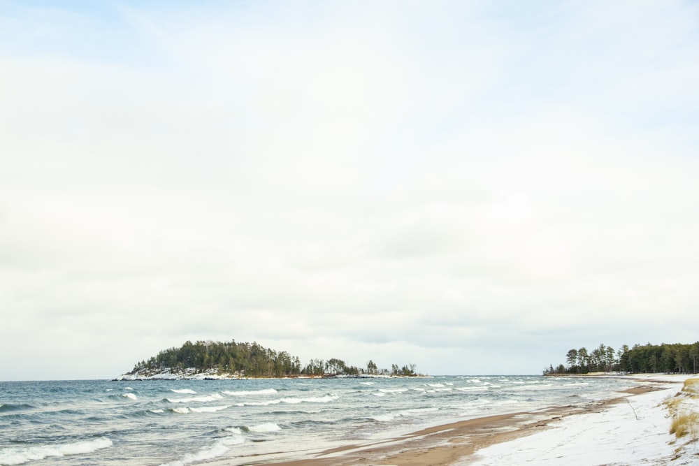 people on beach during daytime