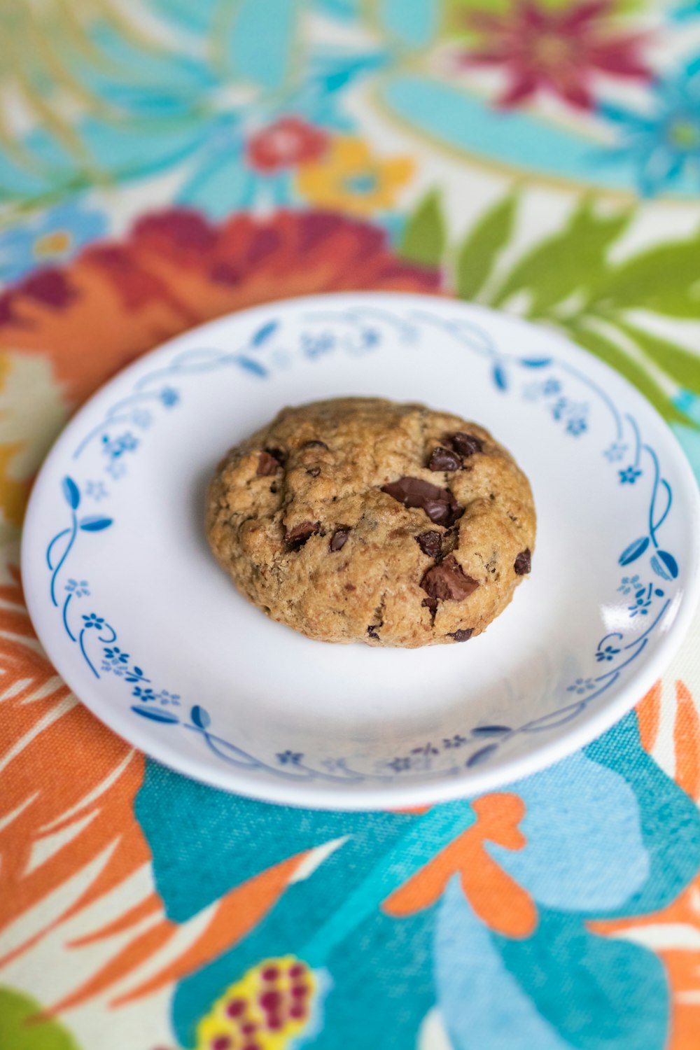 brown cookies on white and blue ceramic plate