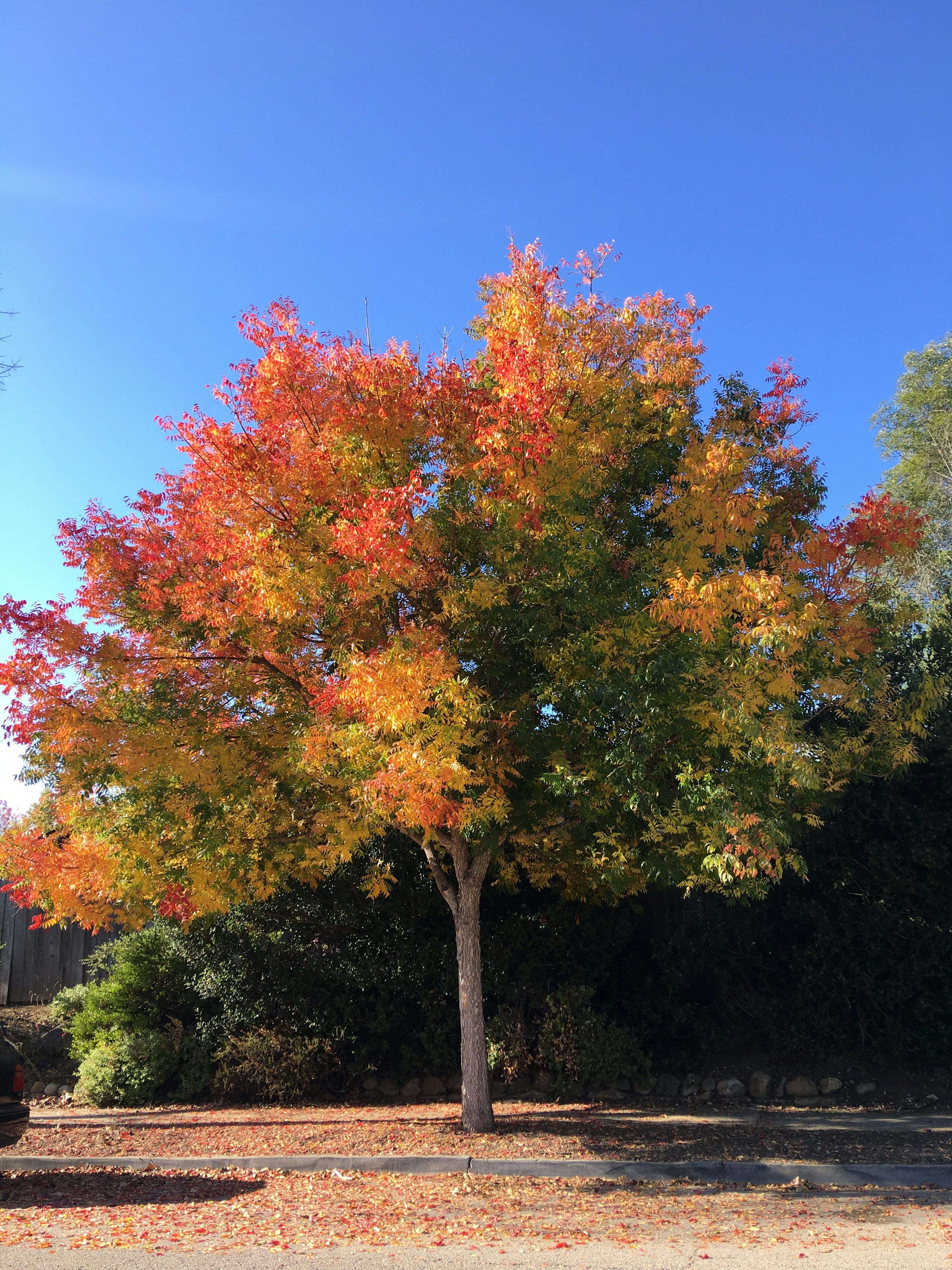 Photo by maiquynhtruong