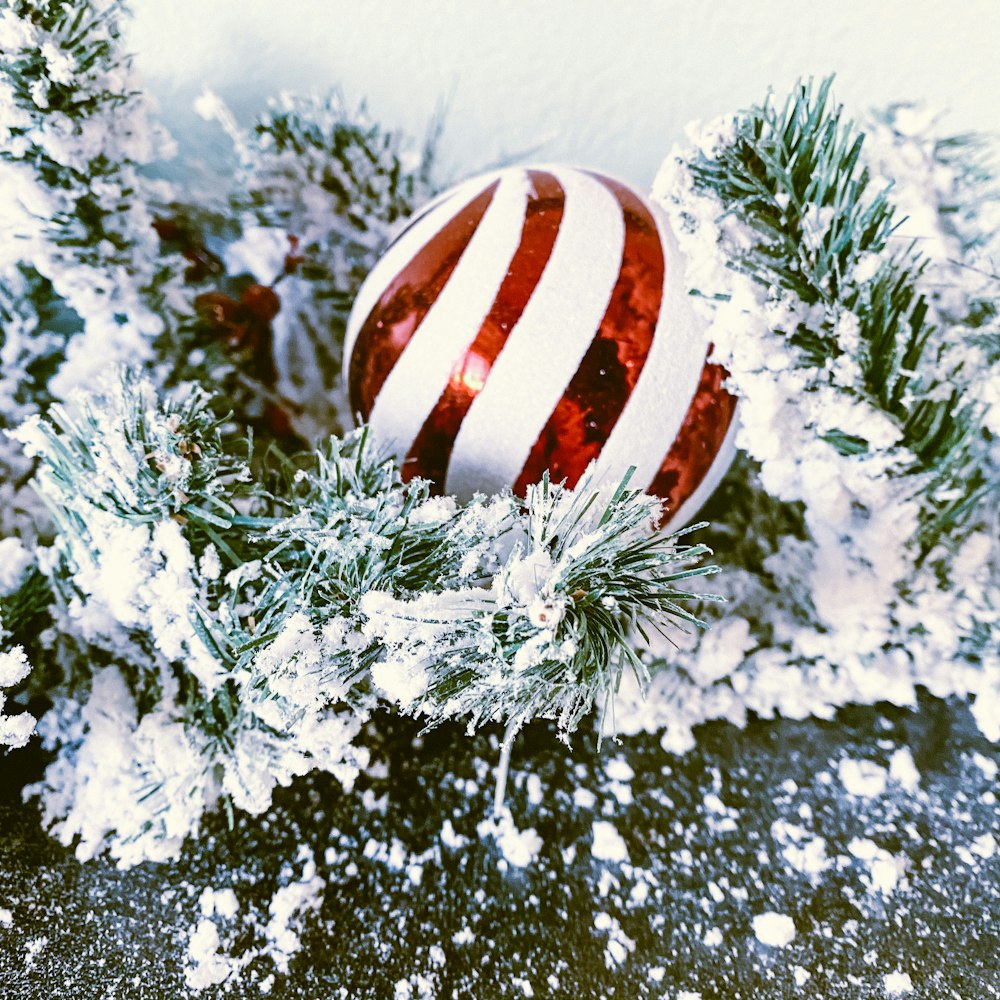 red and white striped christmas bauble on green christmas tree
