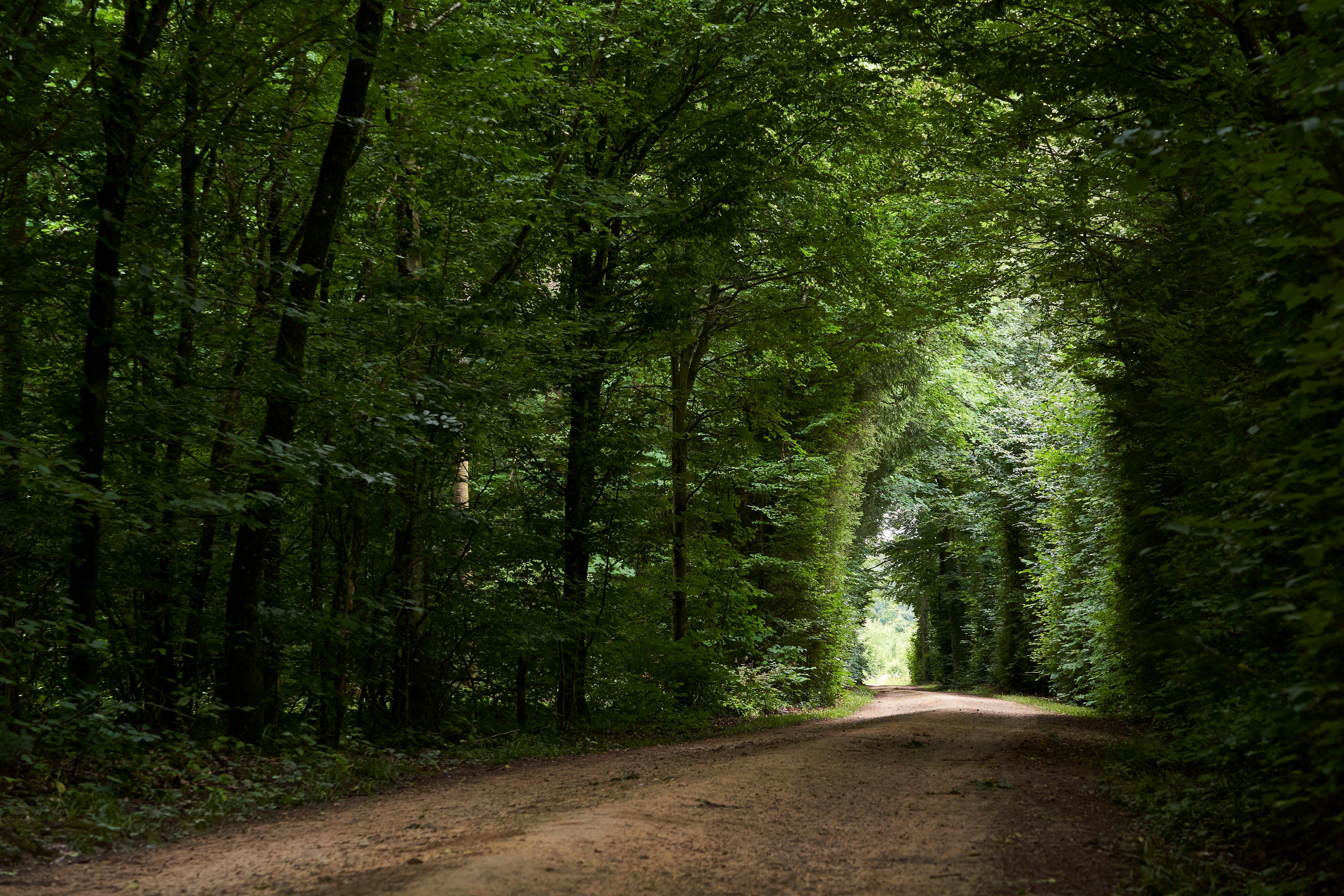 Photo by wolfgang_hasselmann