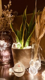 A cozy decorative setting featuring a variety of plants and dried flowers placed in different vases. A snake plant in a brown pot is surrounded by dried grasses in a clear vase and other foliage. Decorative crystal objects are scattered around, along with a small glass bauble containing a miniature Christmas tree.