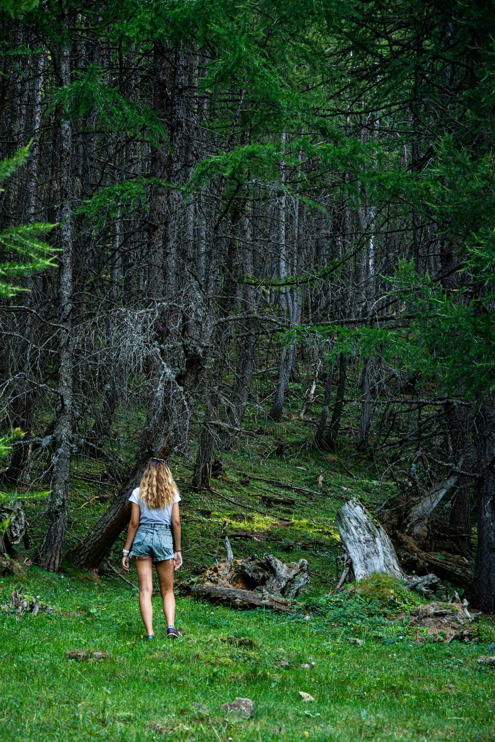 Frau in blauen Jeansshorts steht tagsüber auf braunem Baumstamm im Wald