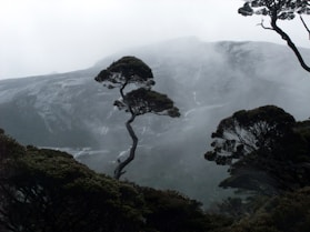 A stunning view of Mount Kinabalu