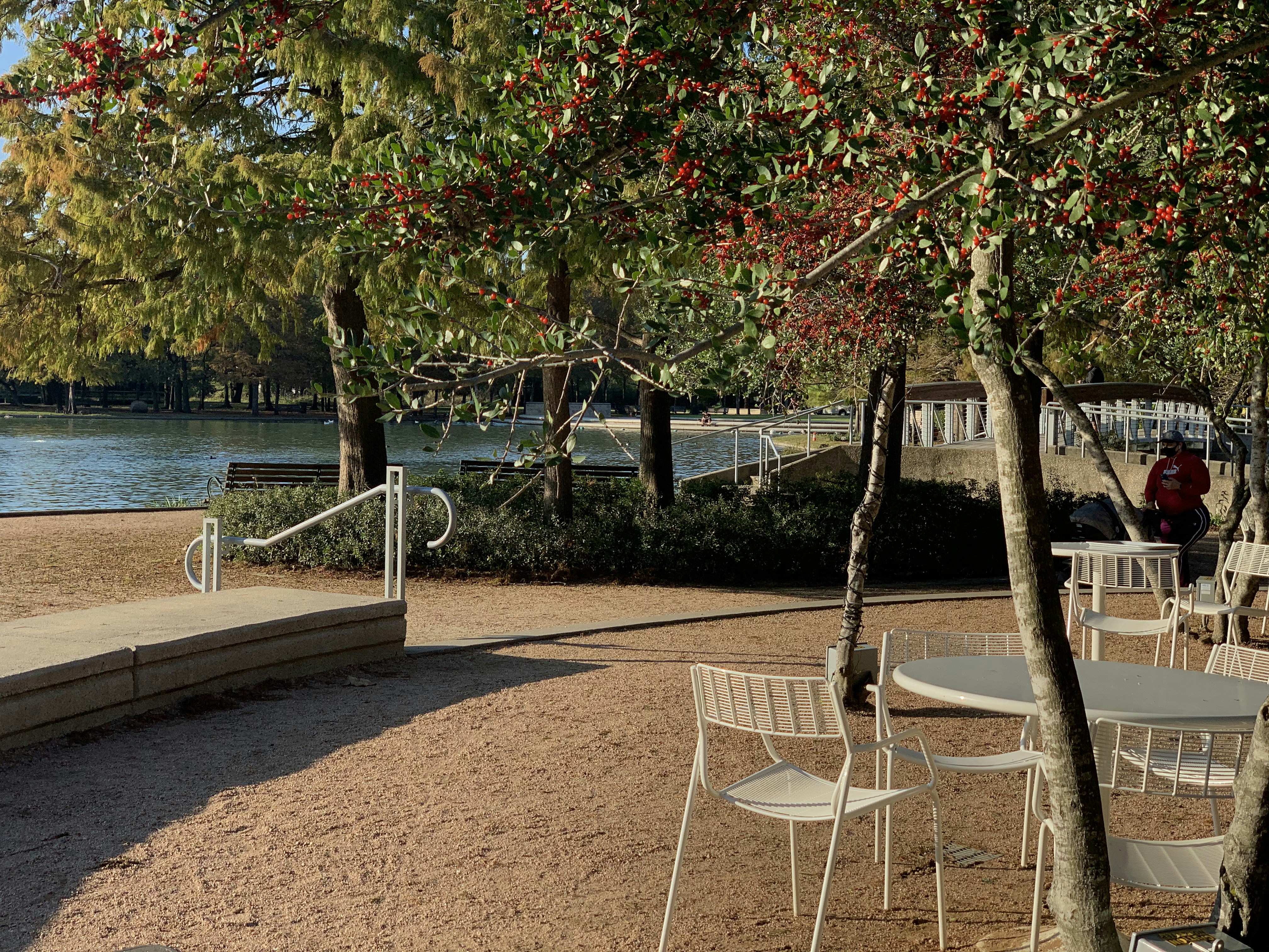 white metal framed brown wooden bench near body of water during daytime