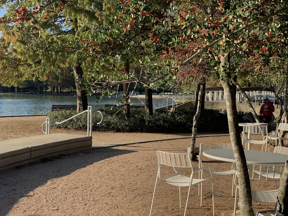 white metal framed brown wooden bench near body of water during daytime