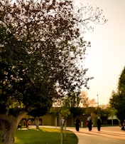 A sunset scene of volunteers and seniors walking together in a peaceful park.