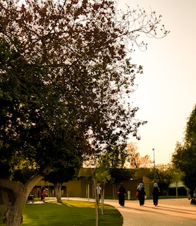 A sunset scene of volunteers and seniors walking together in a peaceful park.