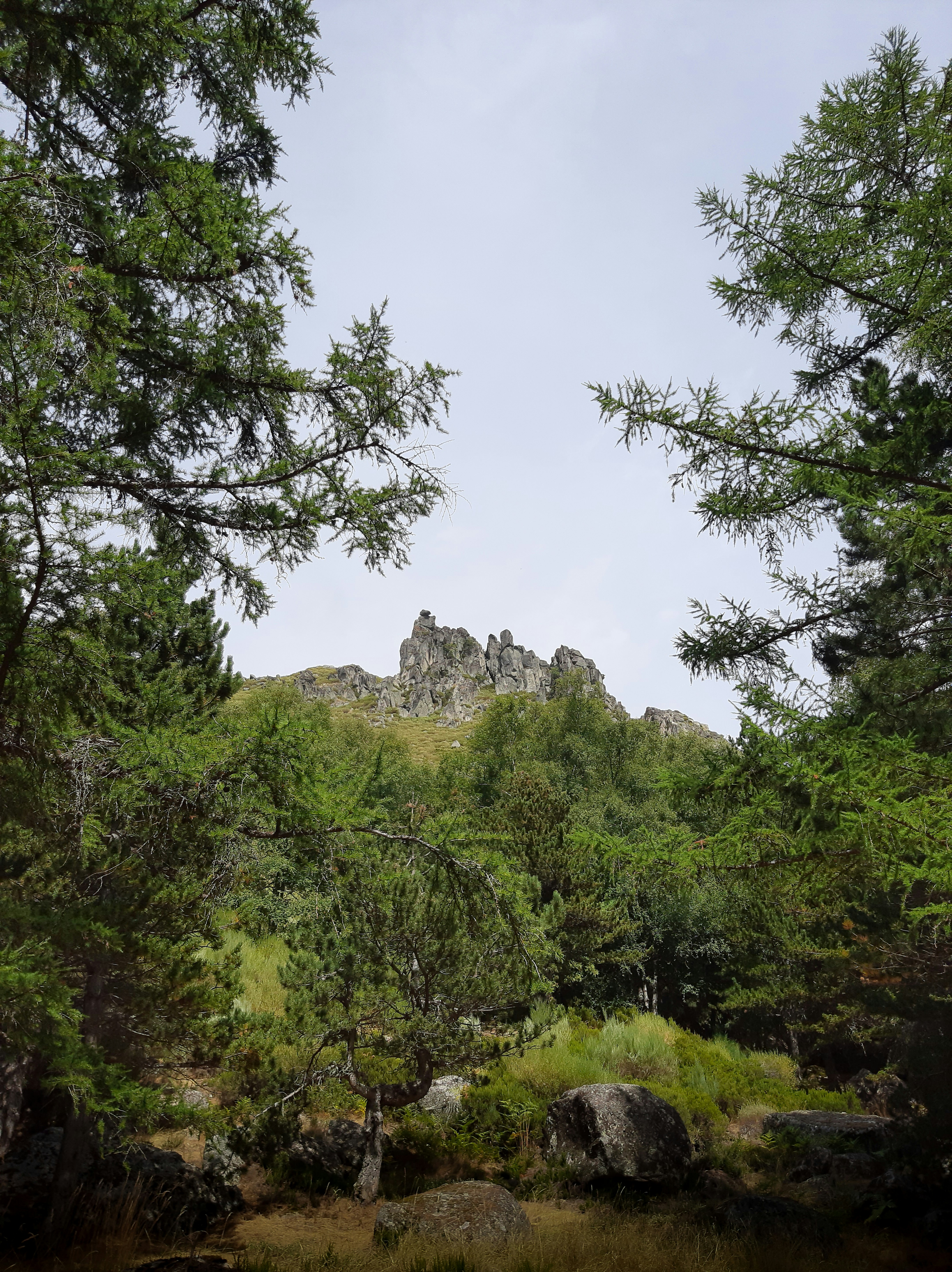 Photo by sofiavilaflor