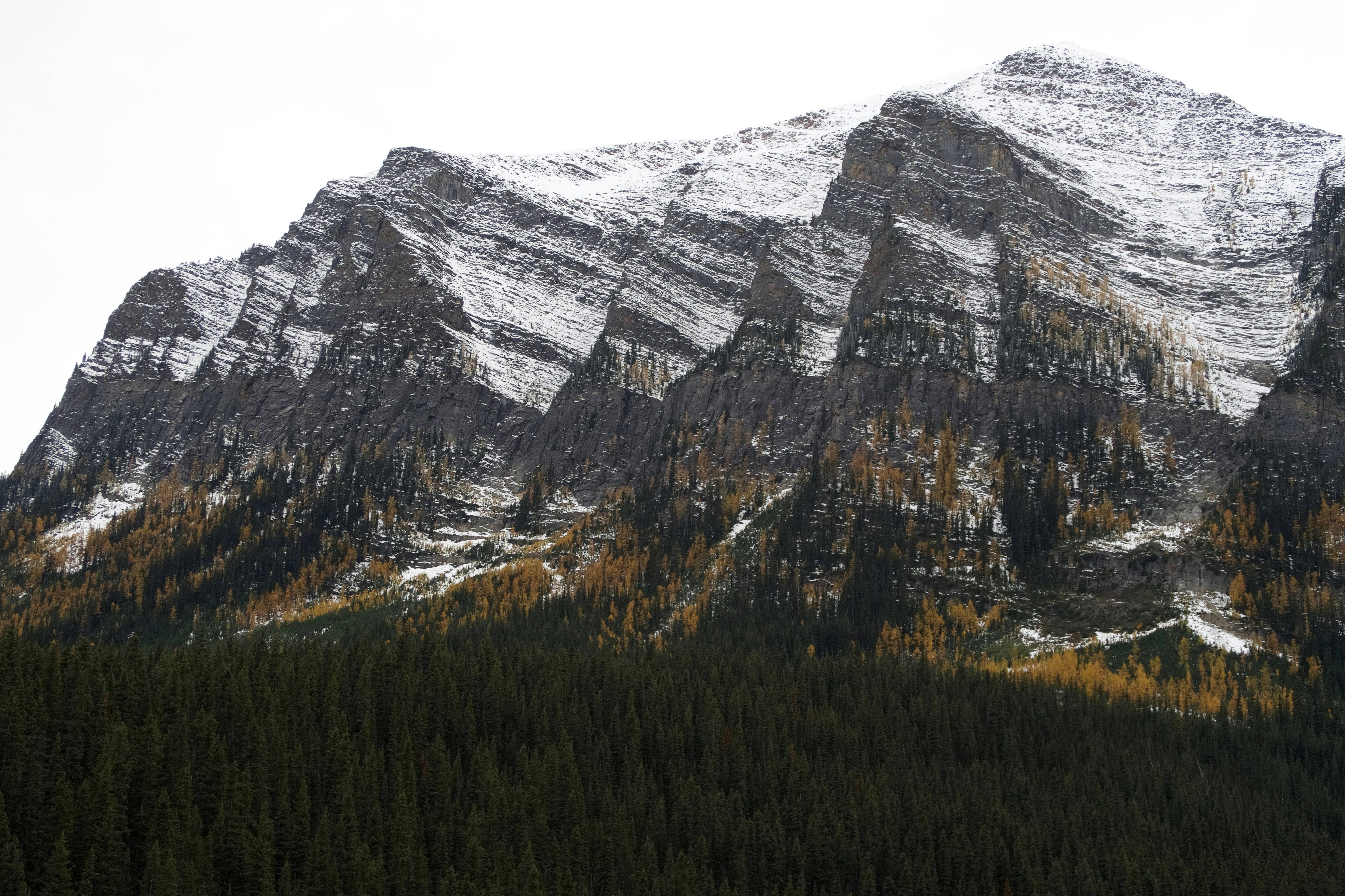 Photo by wmgharrison