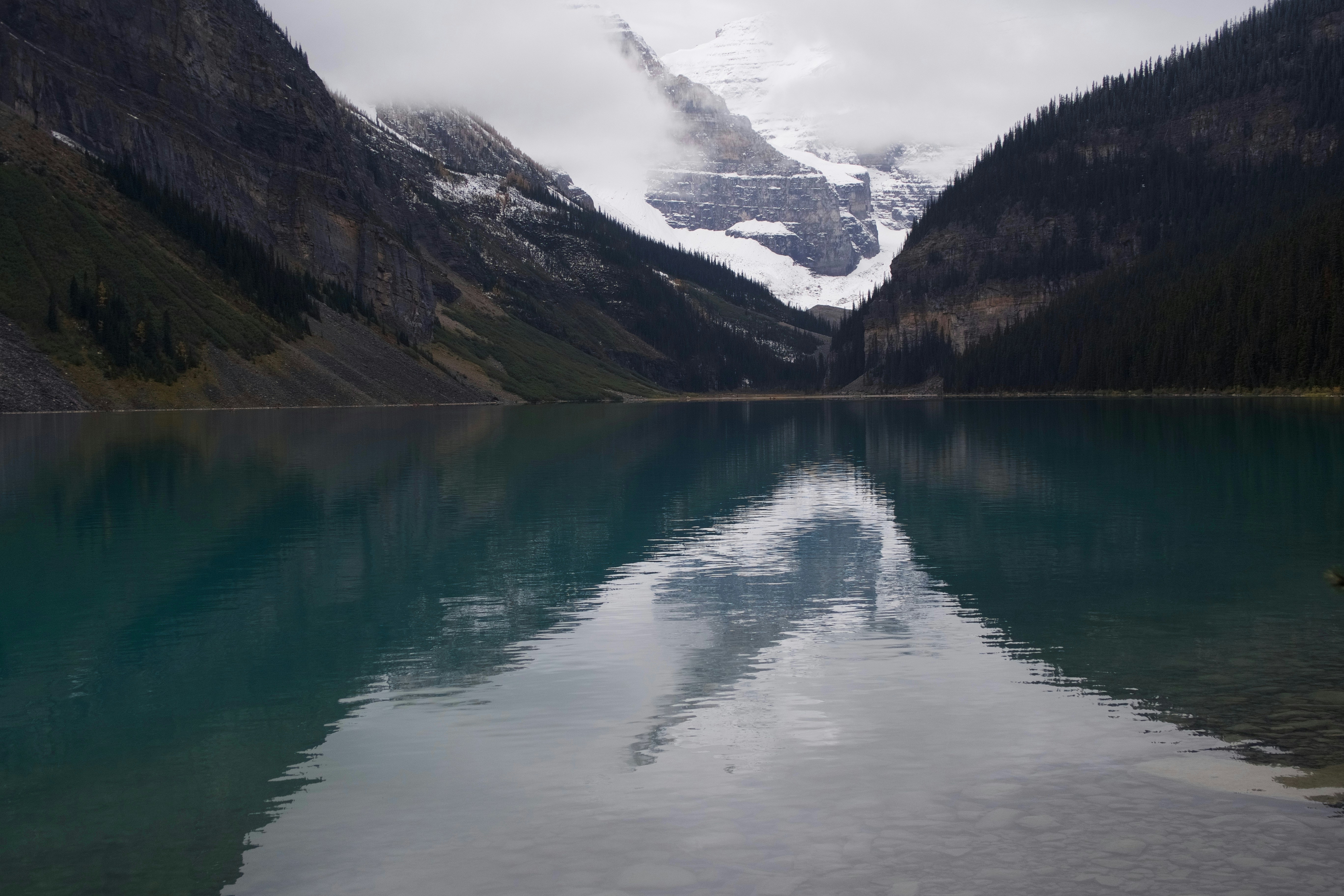 Photo by wmgharrison