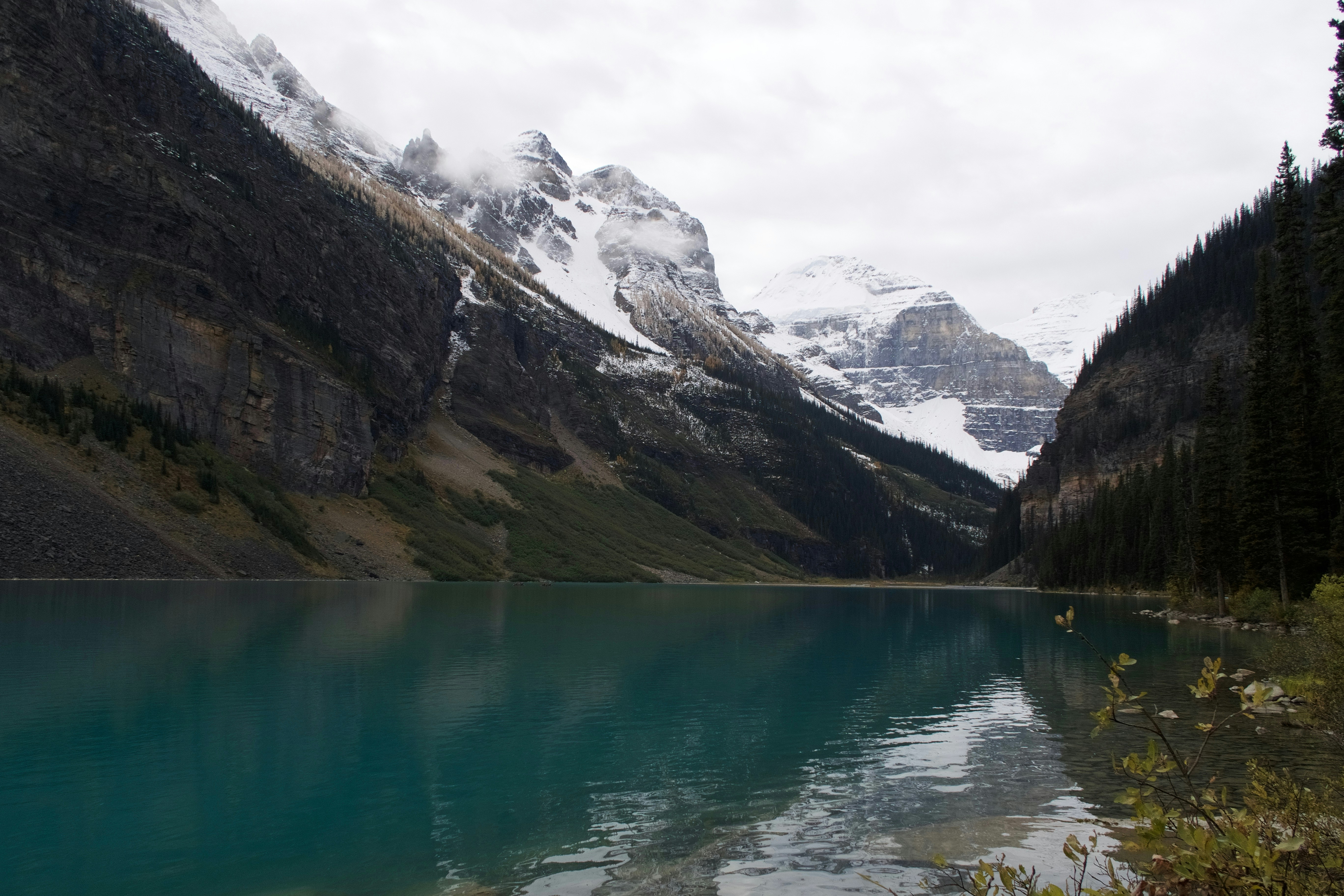 Photo by wmgharrison