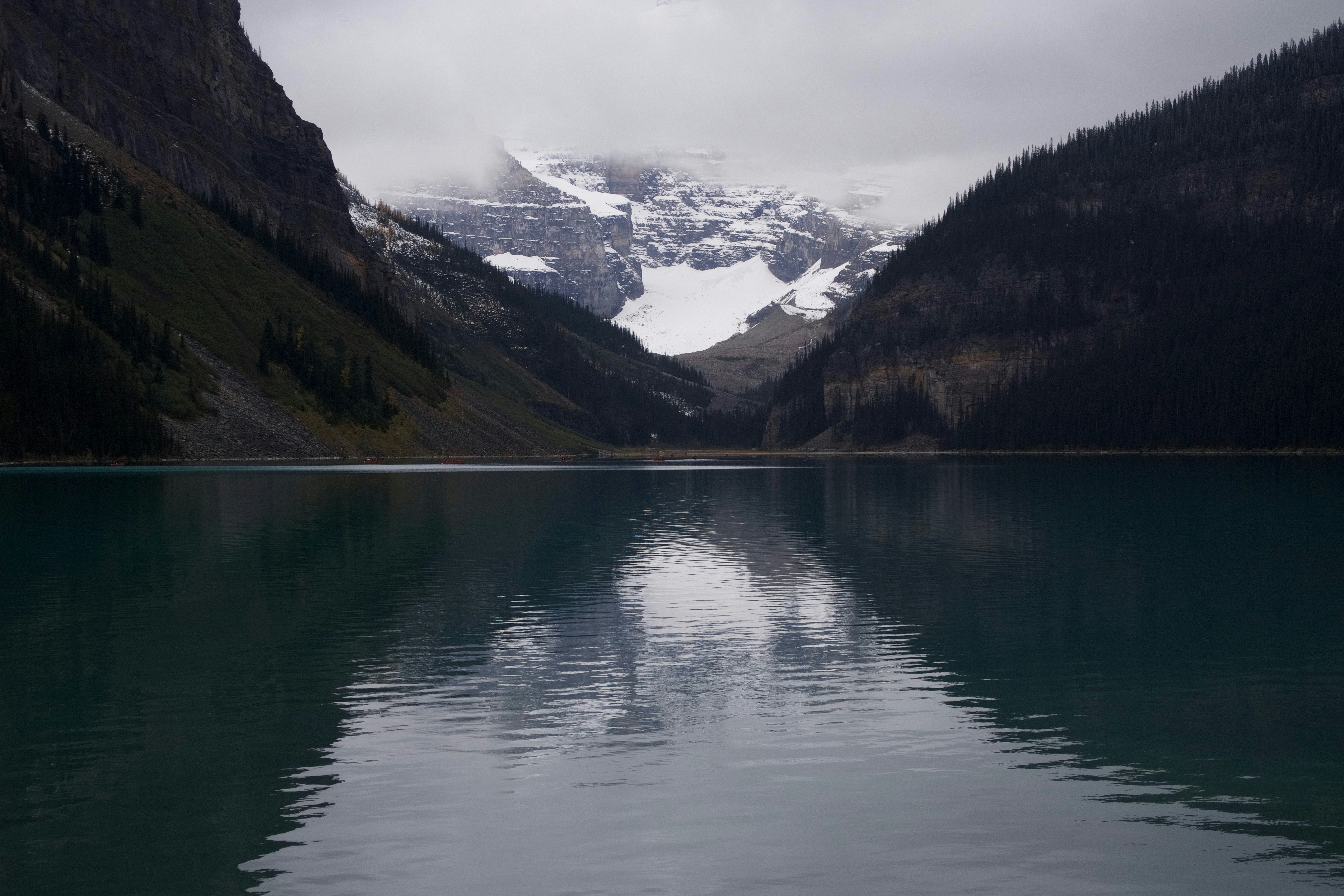 Photo by wmgharrison