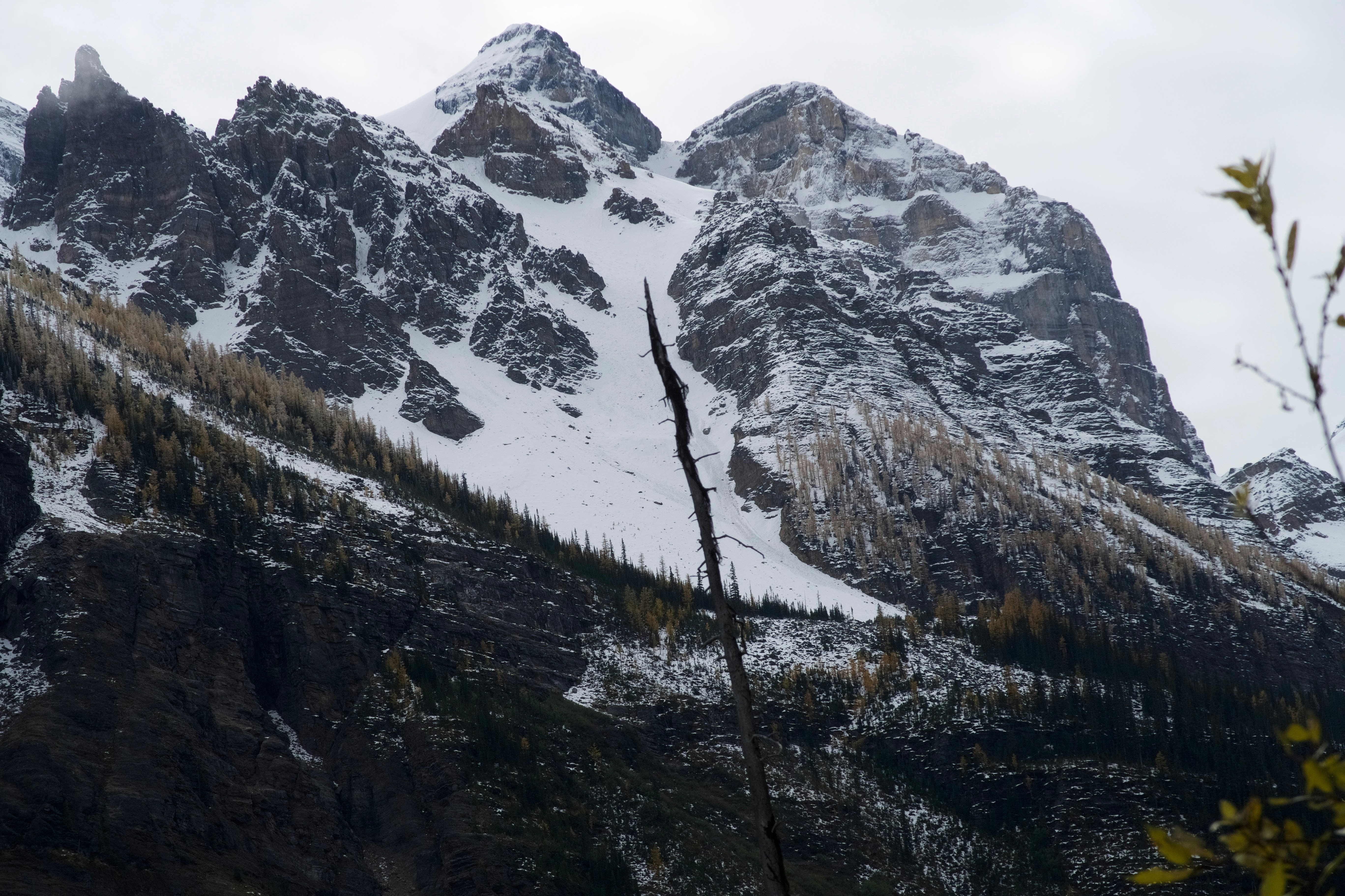 Photo by wmgharrison