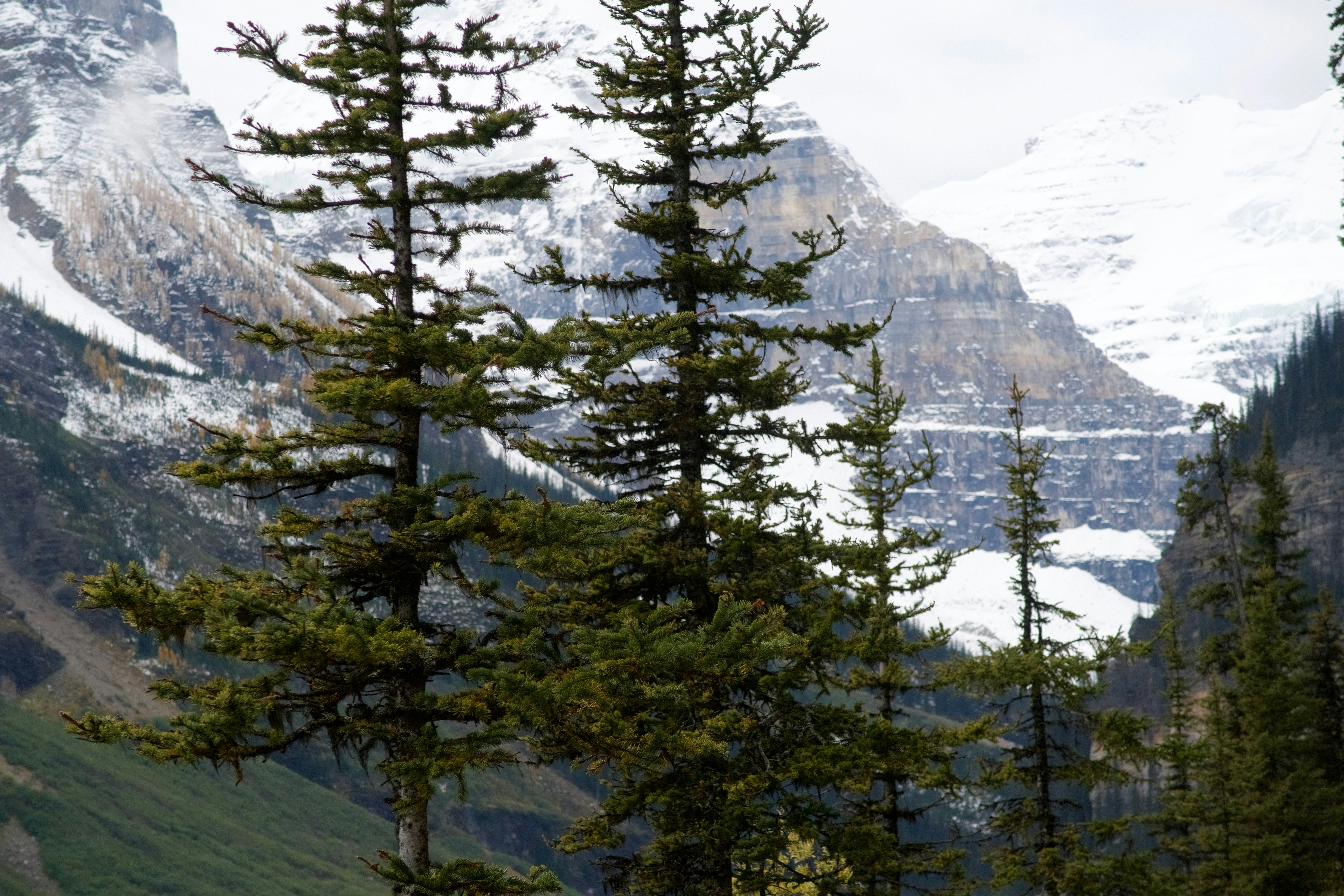 Photo by wmgharrison