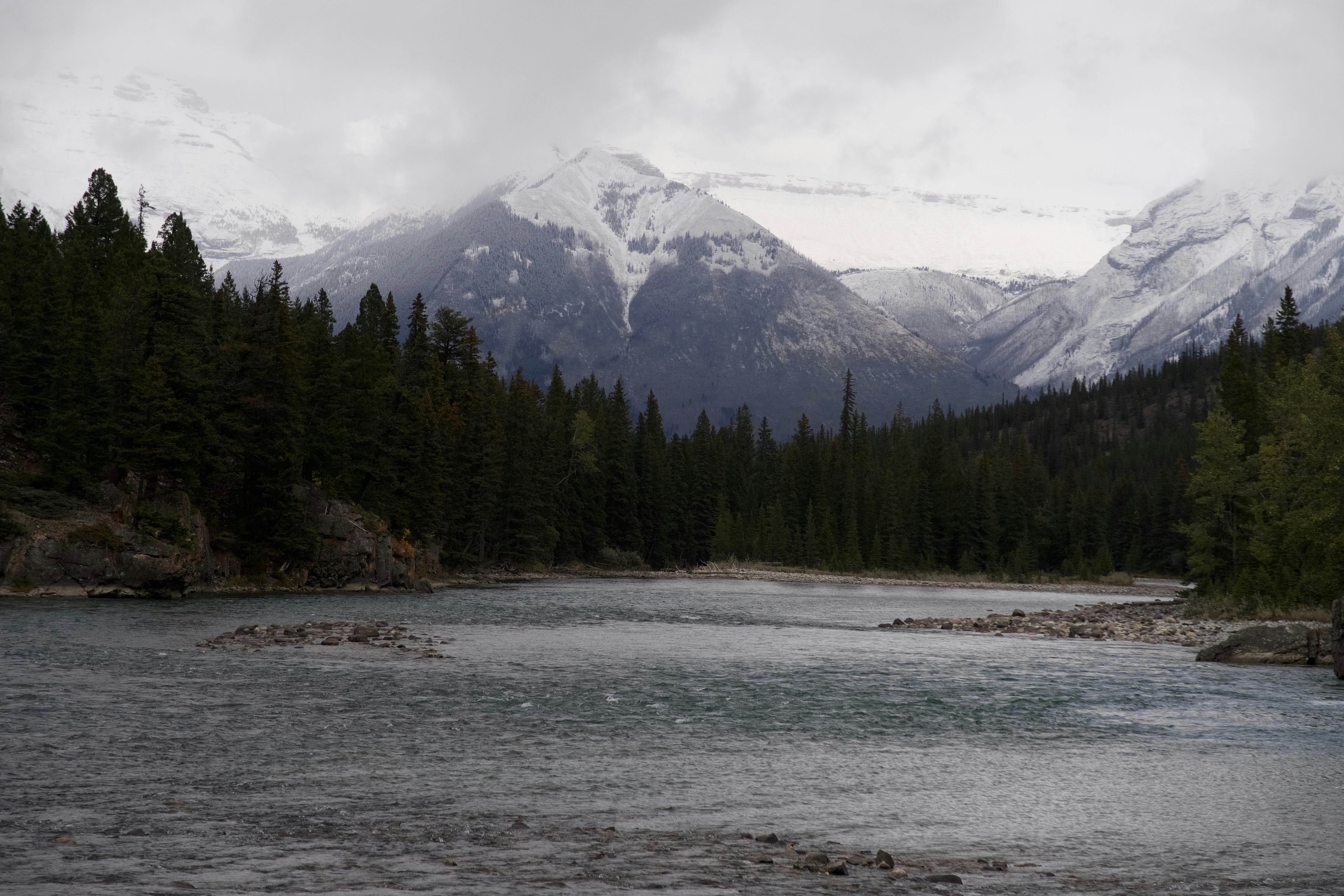 Photo by wmgharrison