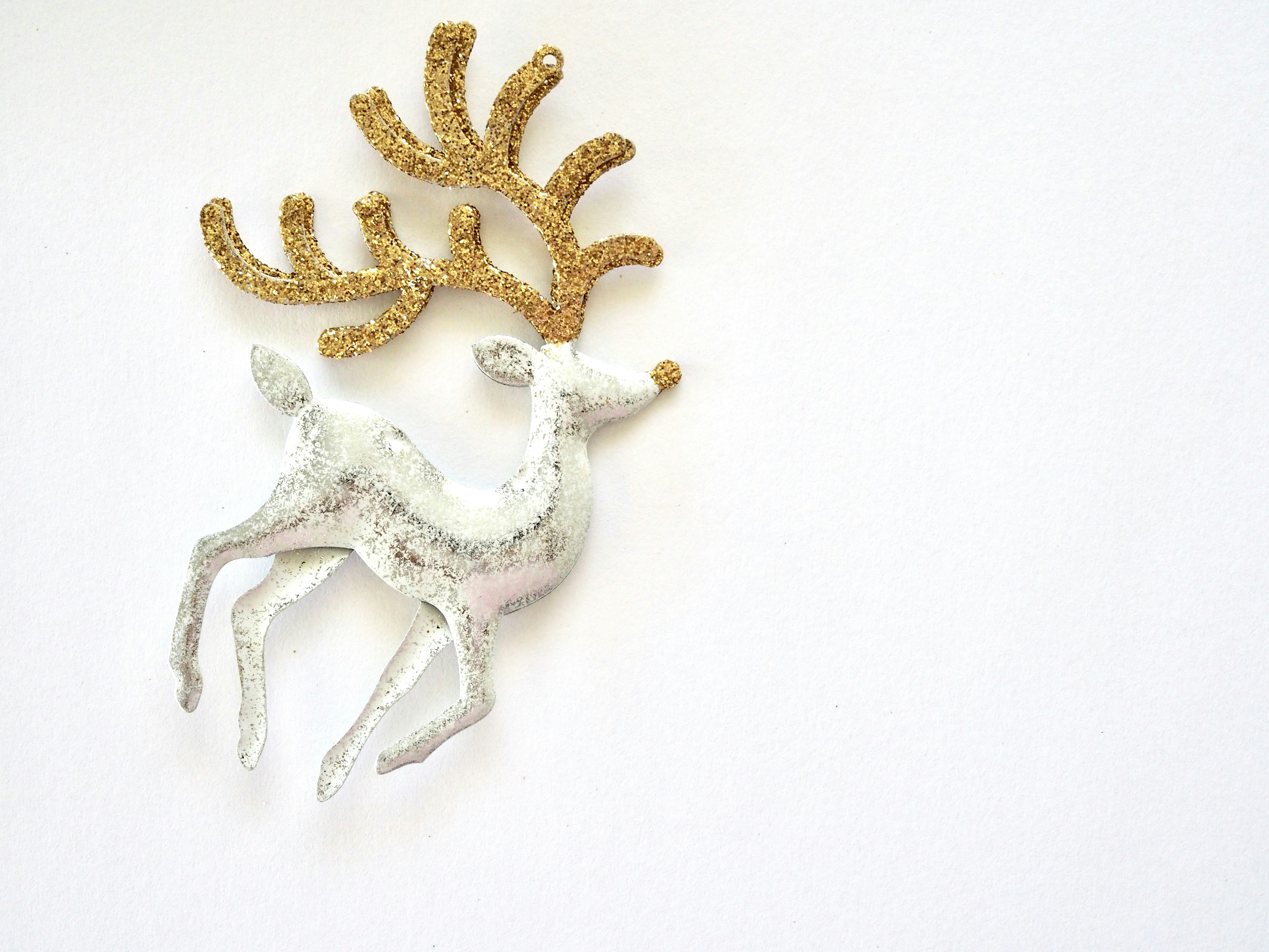 gold and white starfish on white surface