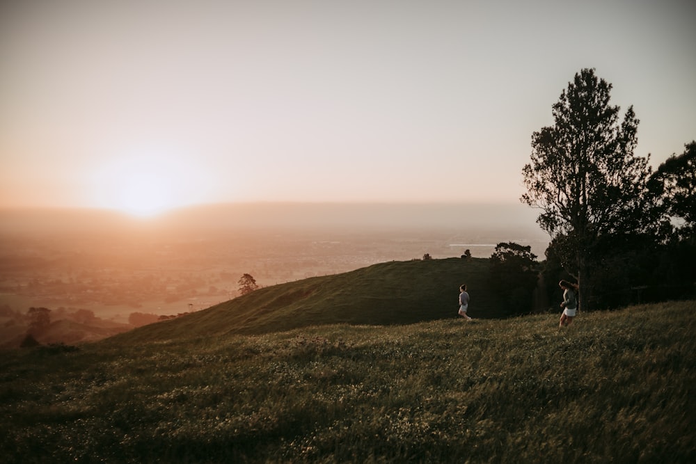 silhouette of trees on hill during sunset