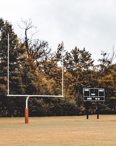 A football field with a goal post on the left and a scoreboard on the right. The background contains tall trees, partially covered with golden leaves, under an overcast sky.