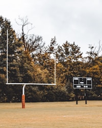 Unlocking Daily Sports Predictions: Free vs. Pro Plans