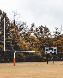 A football field with a goal post on the left and a scoreboard on the right. The background contains tall trees, partially covered with golden leaves, under an overcast sky.