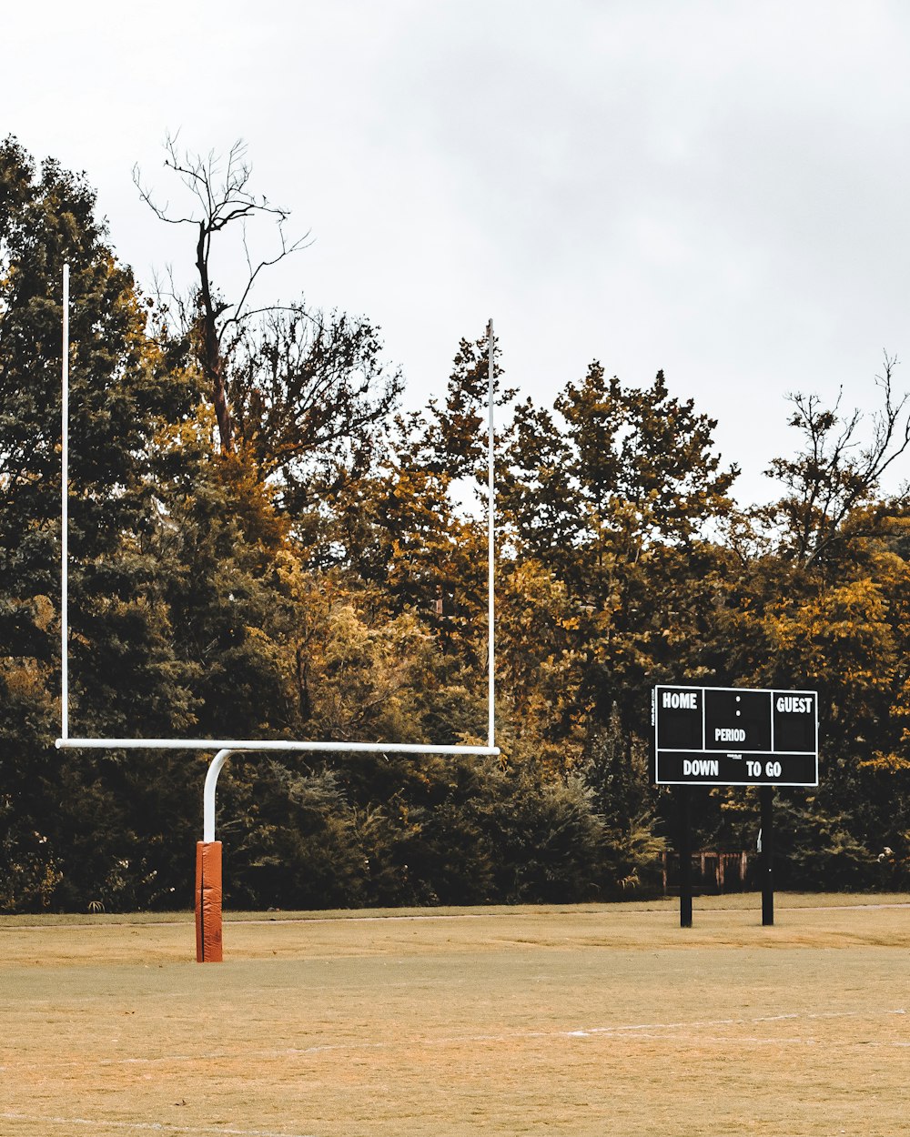 black and white basketball hoop near trees during daytime