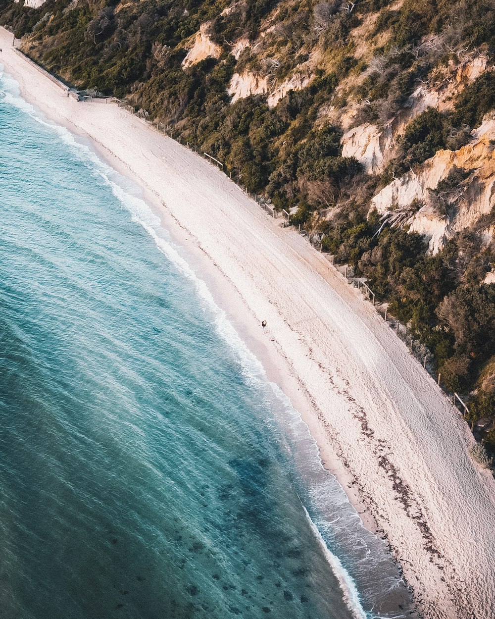 aerial view of beach during daytime