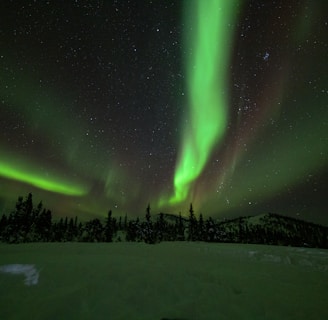 green aurora lights during night time in Alaska