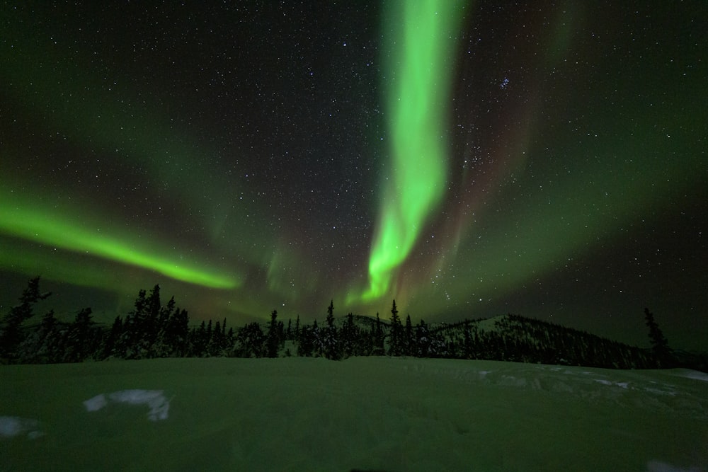 green aurora lights during night time