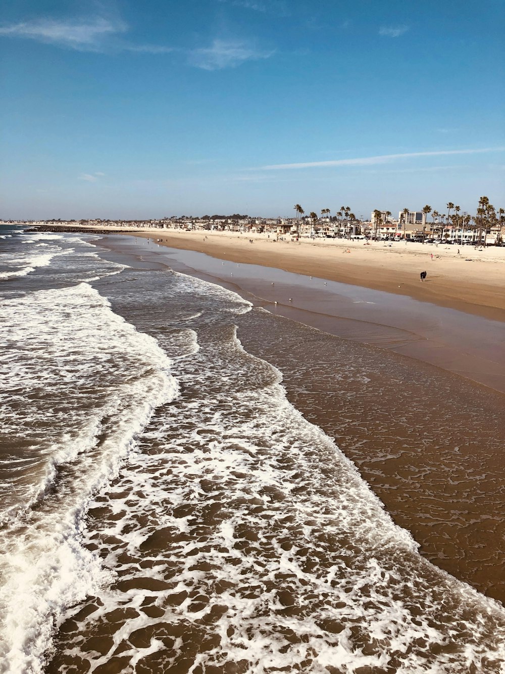 people on beach during daytime