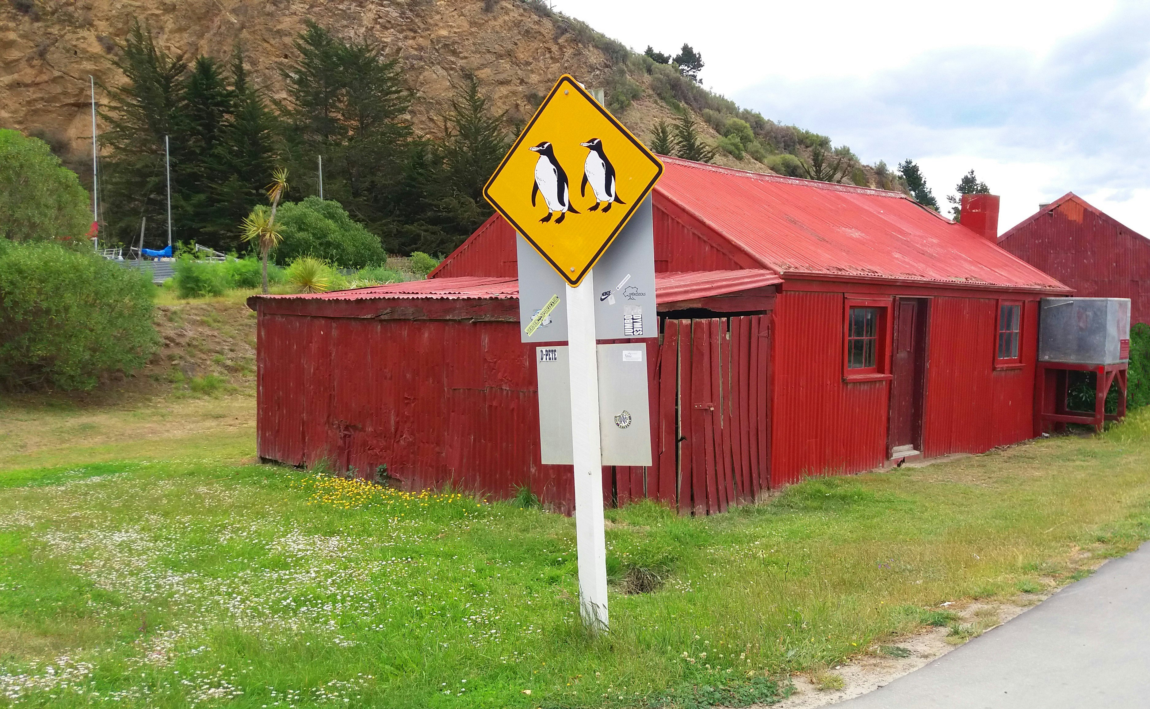 red wooden barn near green grass field during daytime