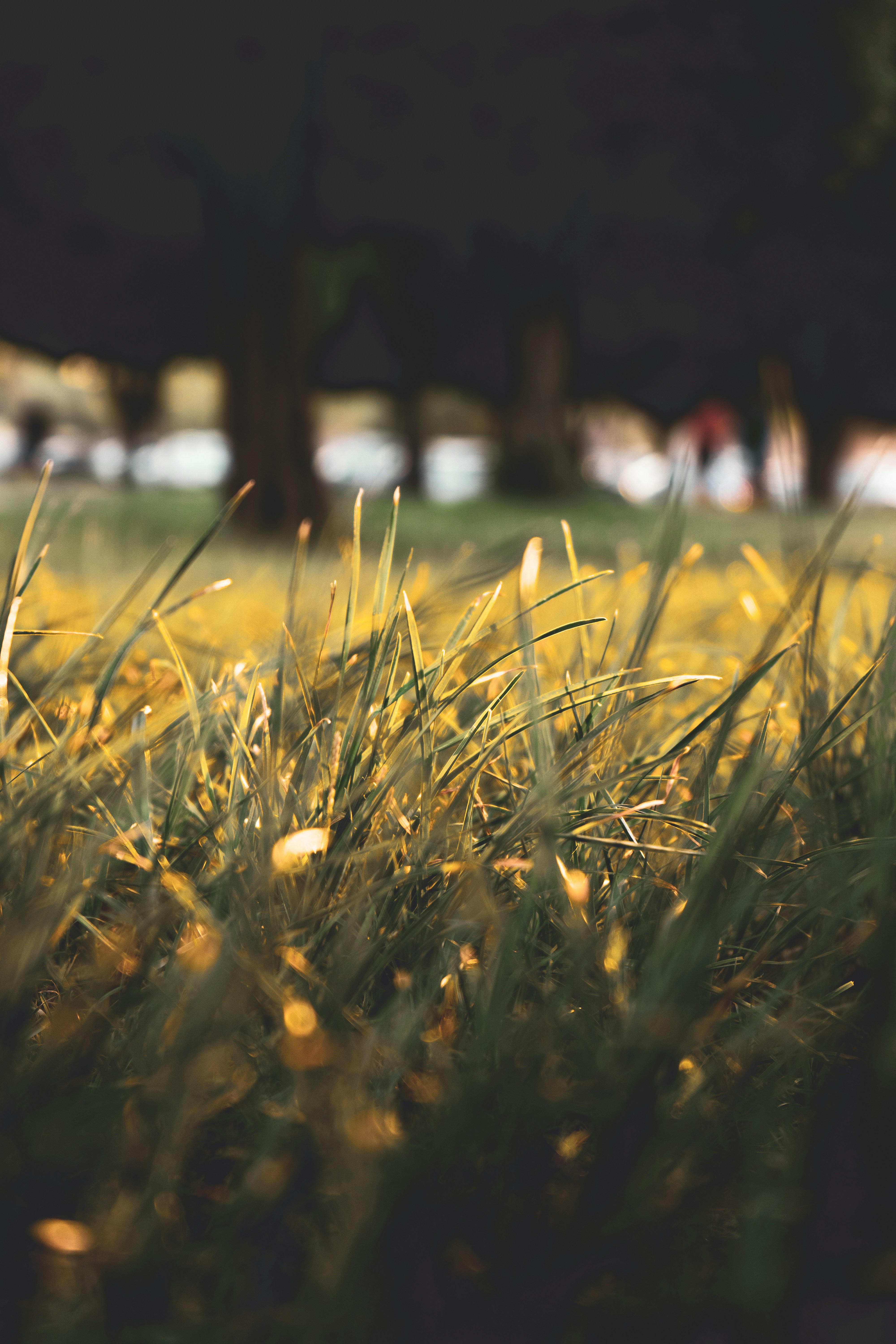 Photo by mayertawfik