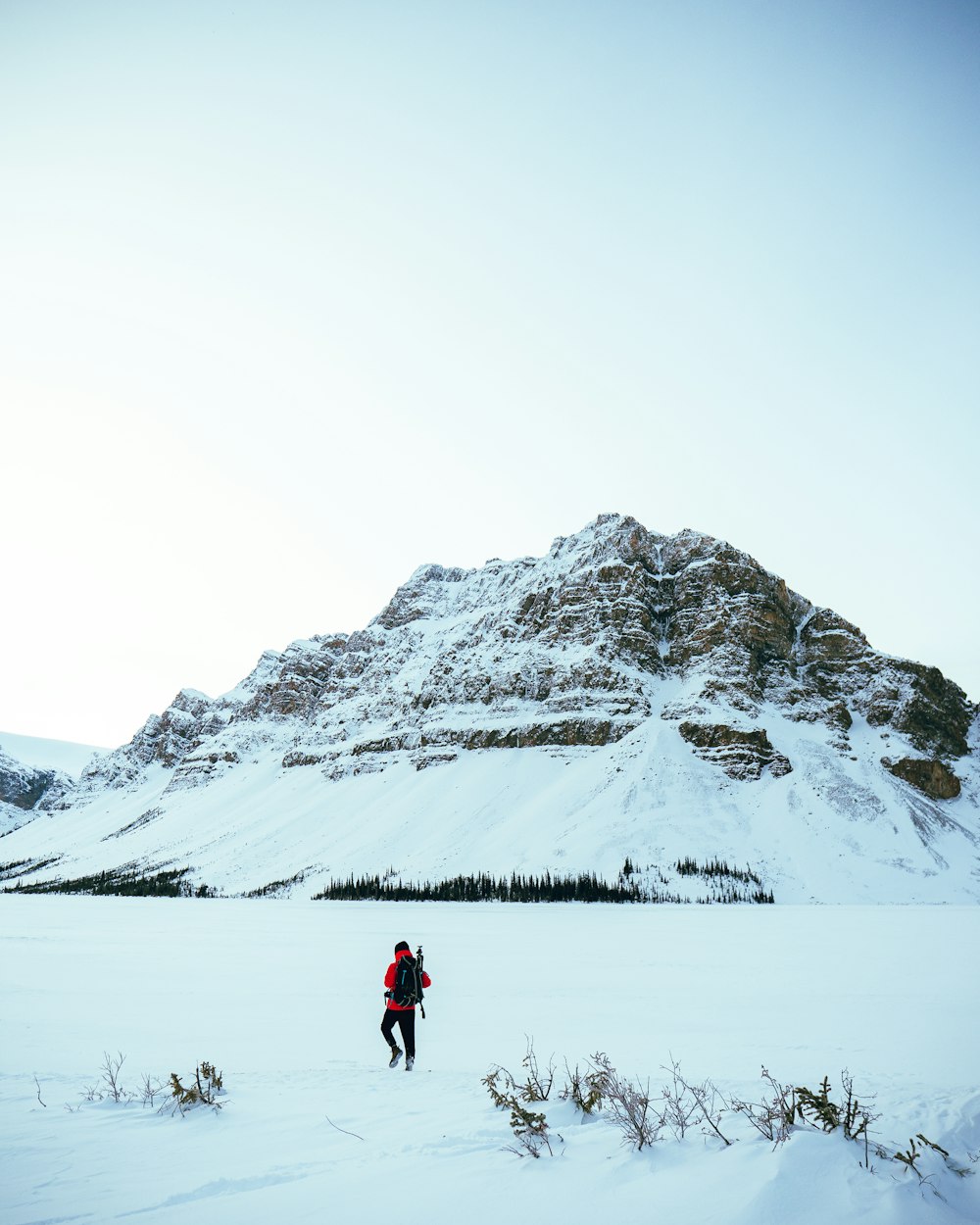 person in red jacket and black pants walking on snow covered ground during daytime