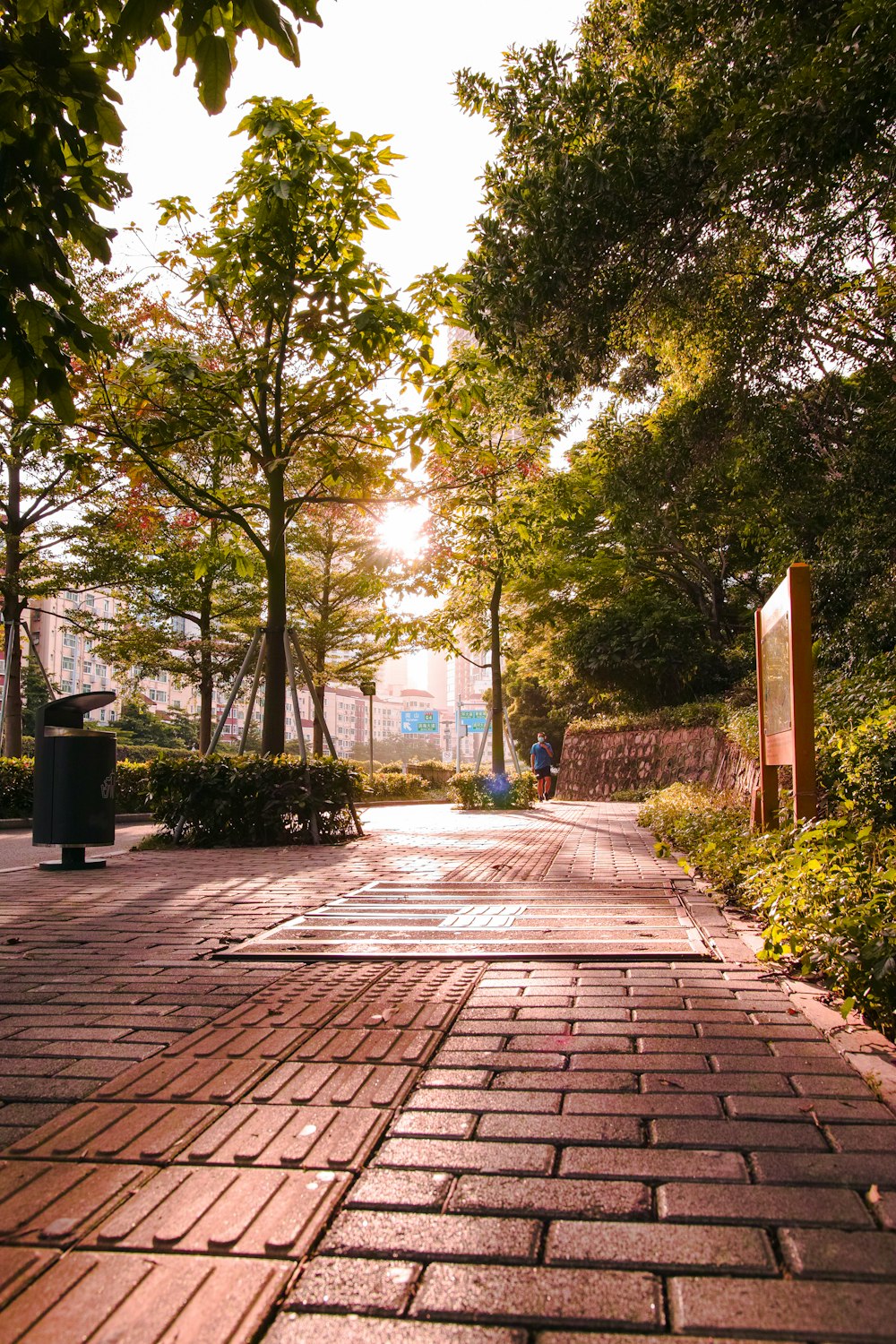 brown wooden pathway between green trees during daytime