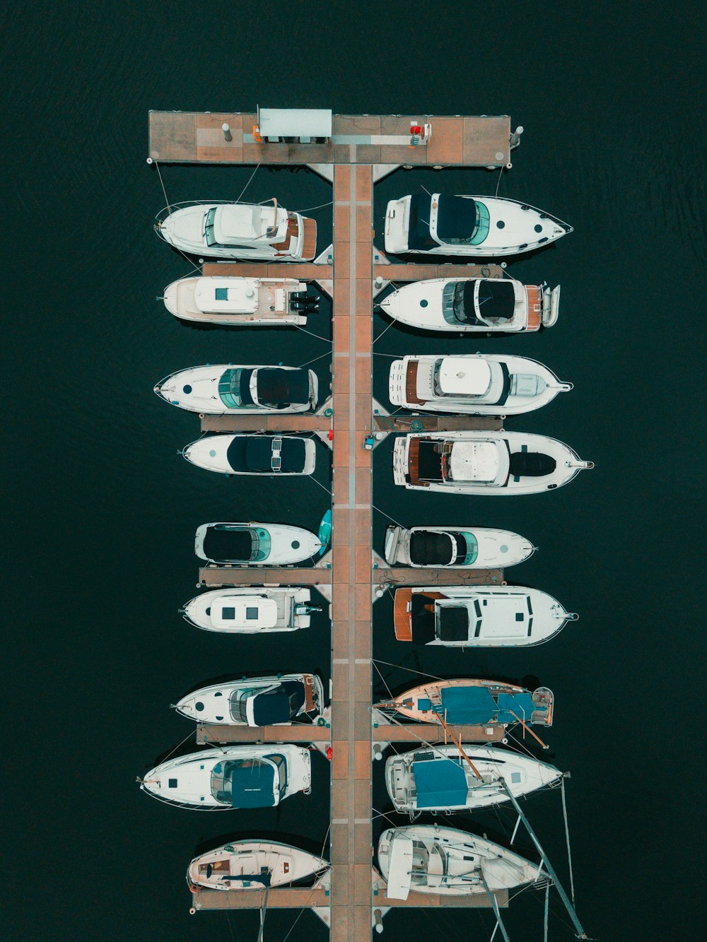 white and brown boat on body of water during daytime