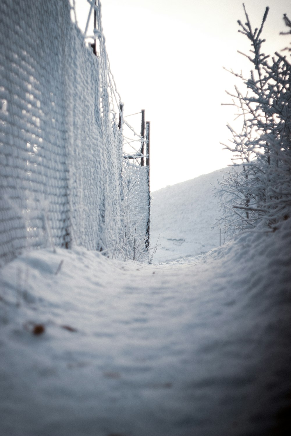 brown wooden fence with snow