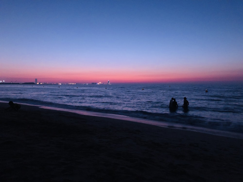 silhouette of 2 people standing on beach during sunset