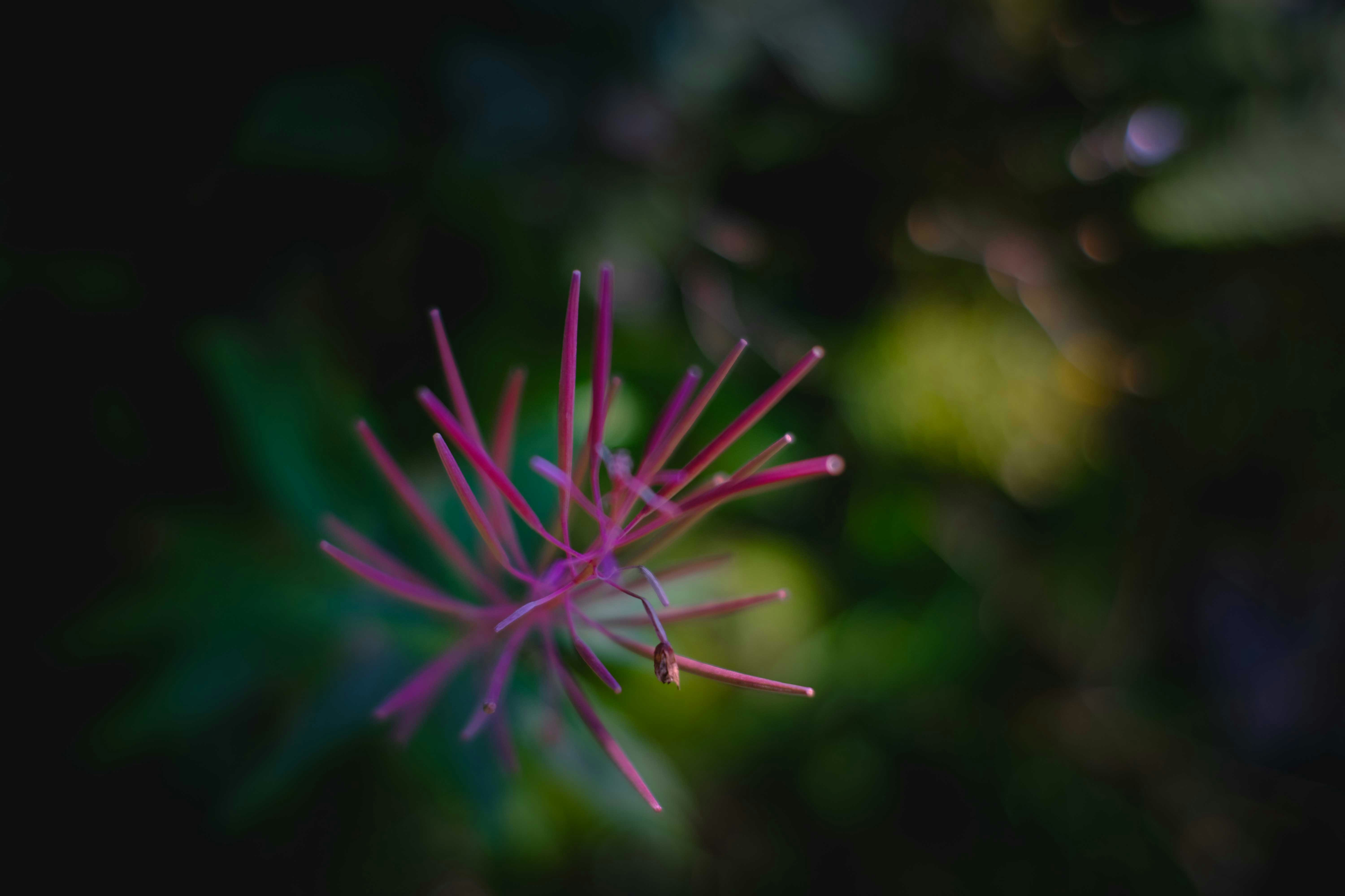 Photo by francesco_ungaro