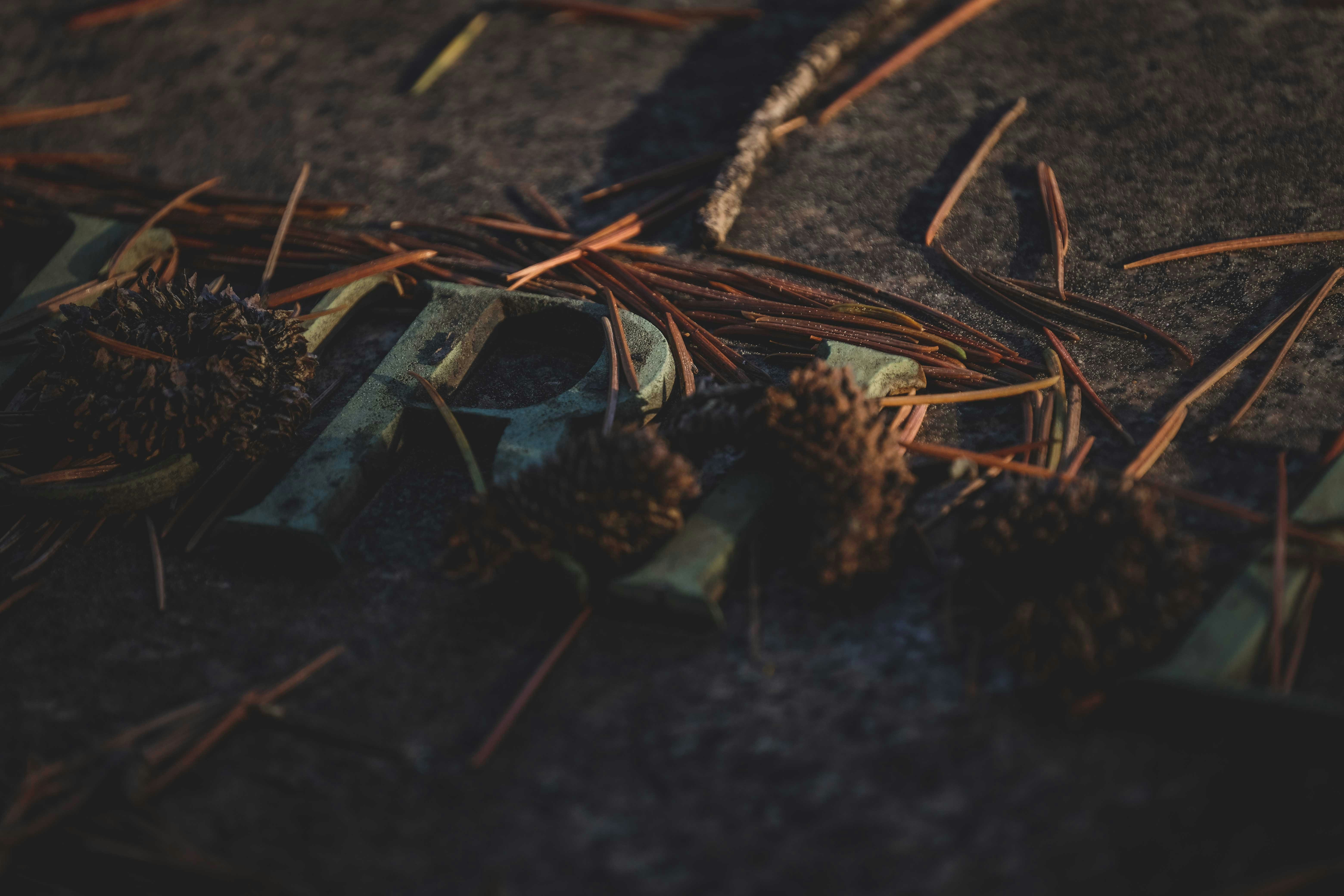 Photo by francesco_ungaro