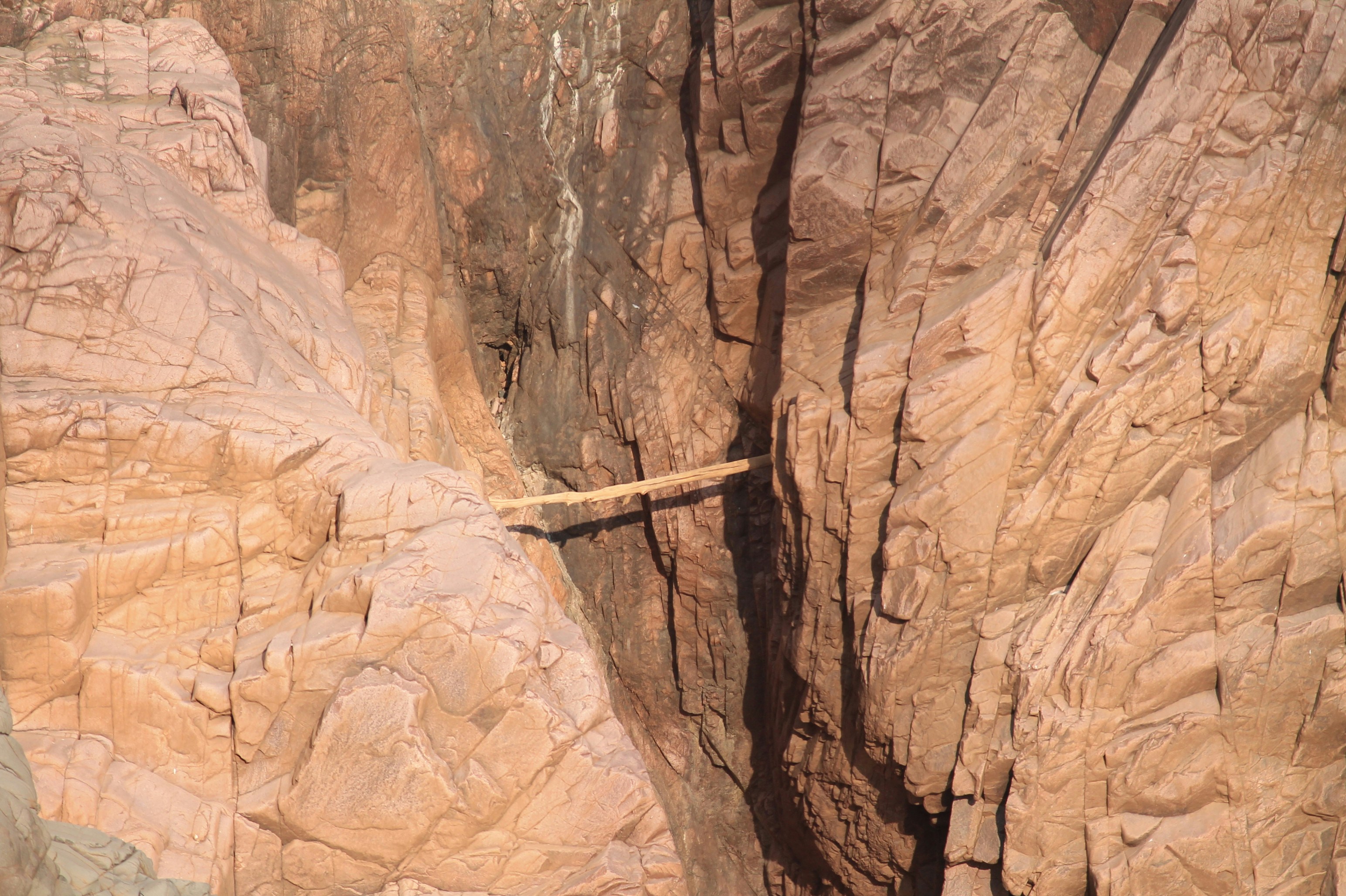 Photo by dennyscreativeden