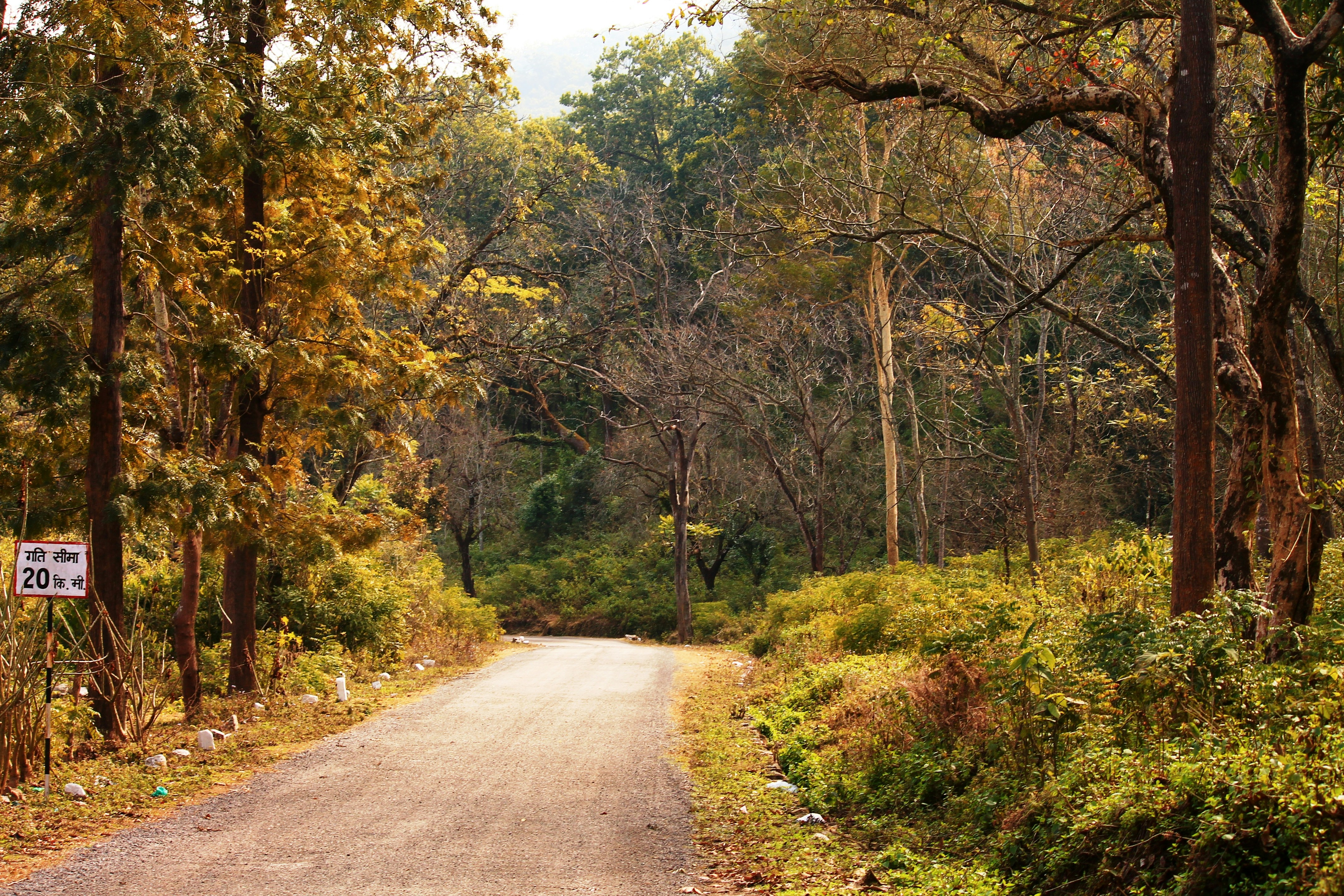 Photo by dennyscreativeden