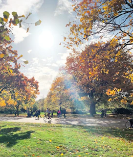 A bright, clean image of a person enjoying a healthy outdoor walk in a sunlit park, symbolizing wellness and vitality.