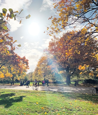 A bright, sunlit park scene with people engaging in outdoor activities such as cycling and walking. The trees are adorned with vibrant autumn leaves in shades of yellow and orange. Sunlight filters through the branches, casting a warm glow over the landscape and illuminating the green grass.