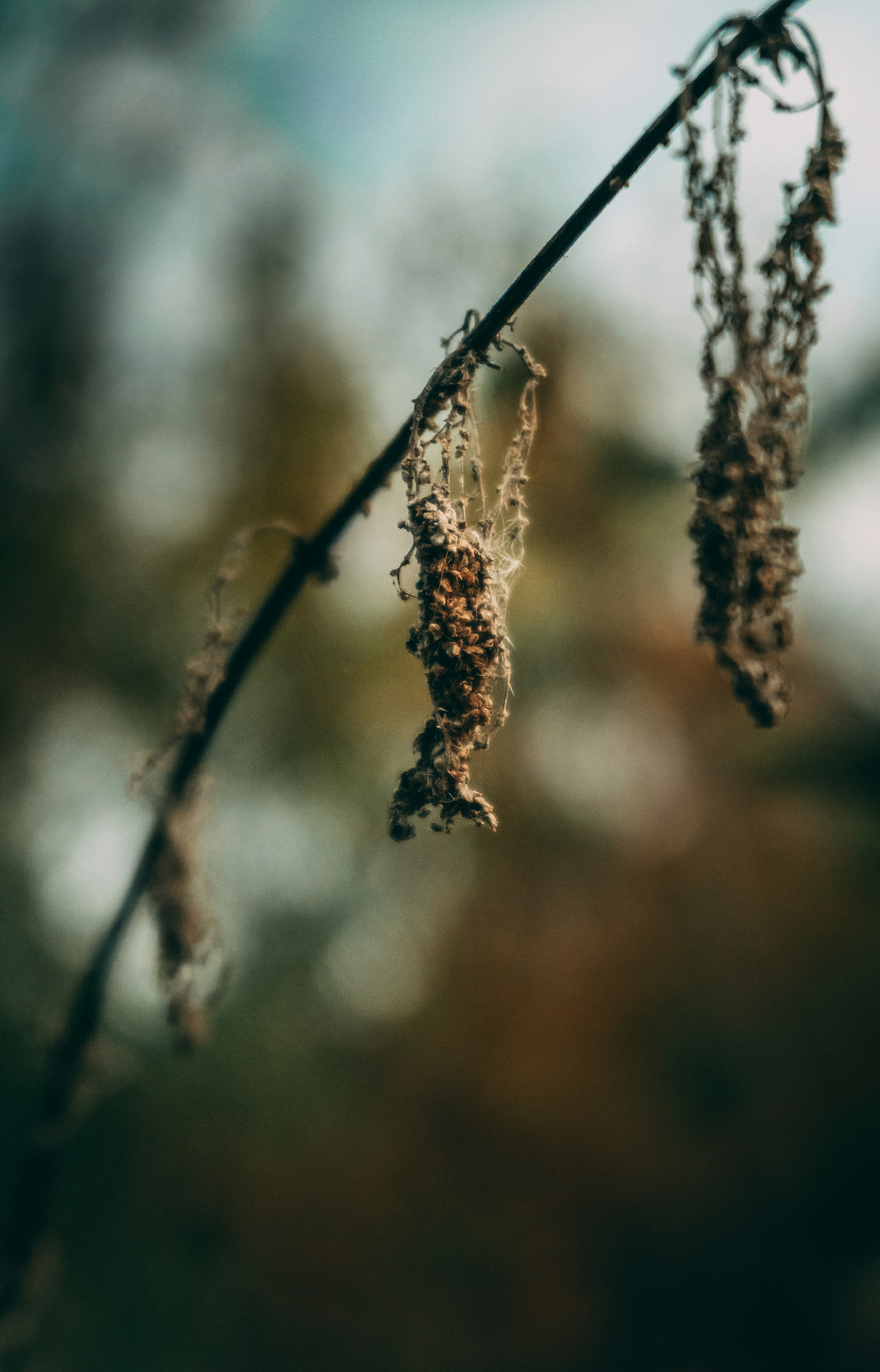 Photo by photopashev