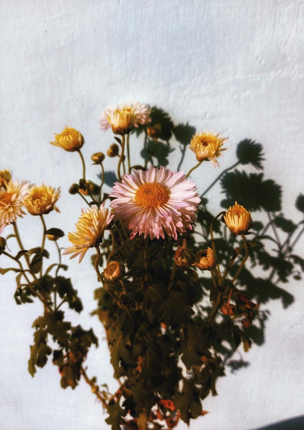 pink and yellow flowers in brown vase